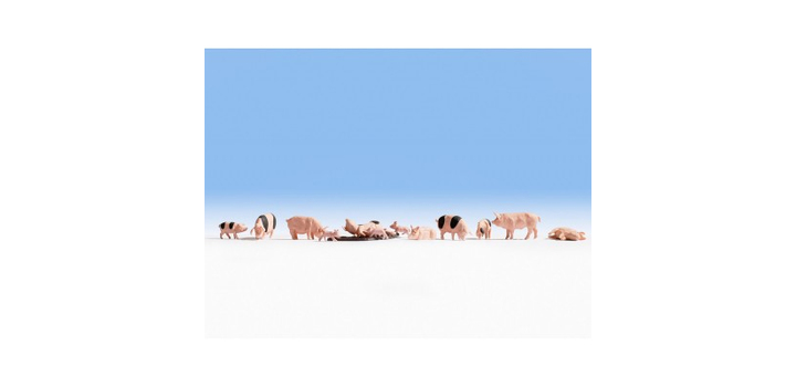 15712 Noch Varkens