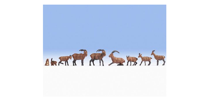 15742 Noch Alpen dieren