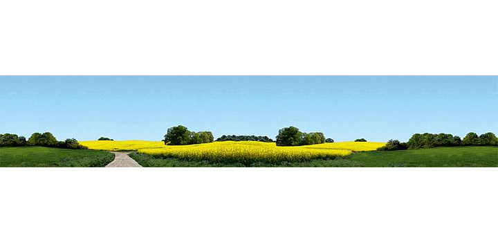 180504 Faller Modelachtergrond Ostholstein 2700 x 500 mm