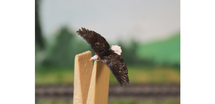 H0K13 VPS Bald Eagle Zwevend