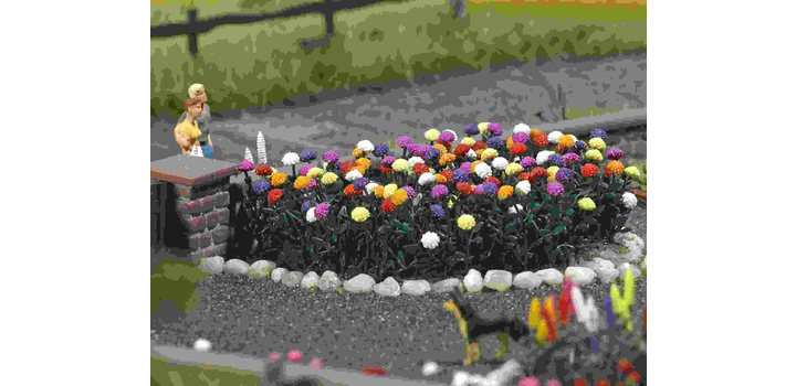 1219 Busch Dahlia?s 