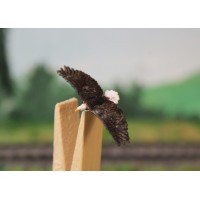 H0K13 VPS Bald Eagle Zwevend