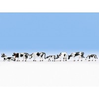 15721 Noch Koeien zwart-wit