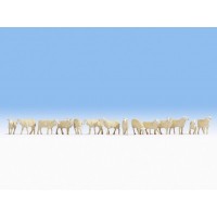 15749 Noch Schapen