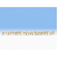 15749 Noch Schapen
