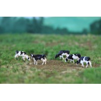 NVPS201 Holstein Zwartbont 5 stuks