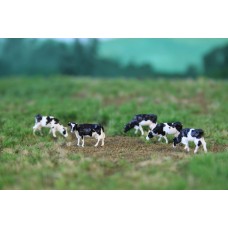 NVPS201 Holstein Zwartbont 5 stuks