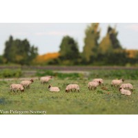 HS003 NL Drents heideschaap 8 stuks