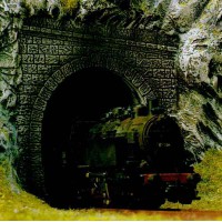 7025 Busch Tunnelportaal 2 ST. Stoomloc