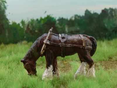 HP011 Shire horse 'Old George'